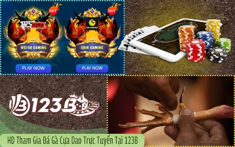 Hướng dẫn tham gia đá gà cựa dao trực tuyến tại 123B