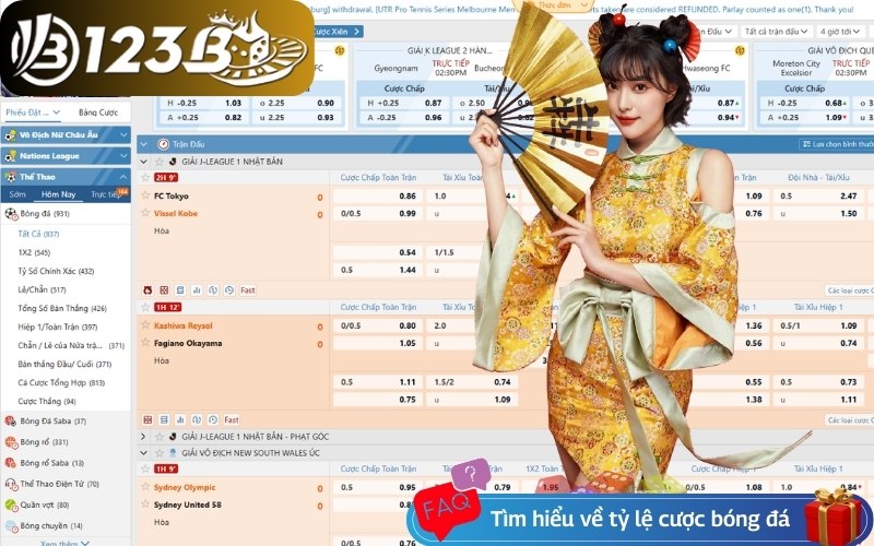 Tìm hiểu chi tiết về tỷ lệ cược bóng đá